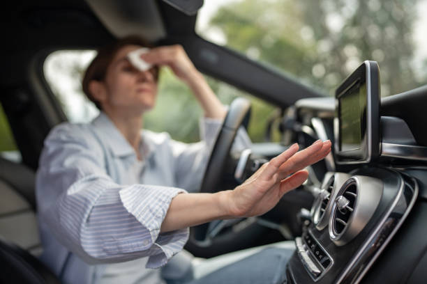 Best Thermostats and Smart Controls in El Sobrante, CA